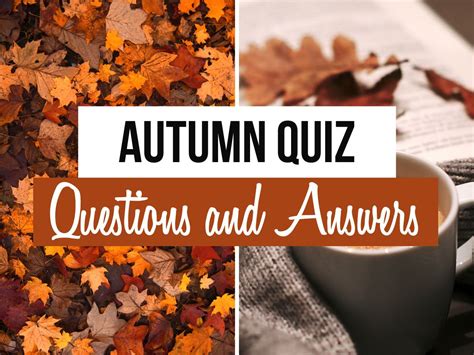 tears of autumn selection test|tears of autumn questions Flashcards .